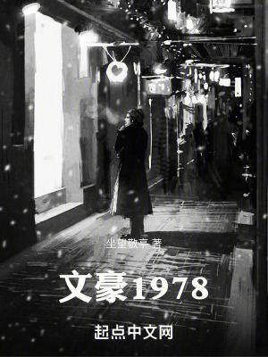 文豪1978 TXT下载