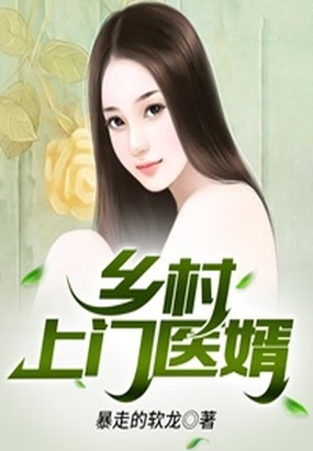 现代小说上门龙婿