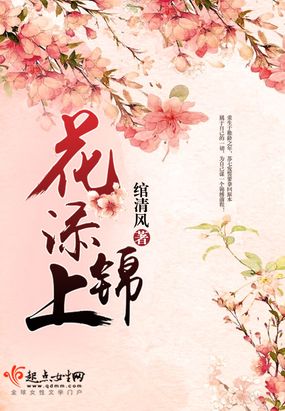 花添锦上 小说