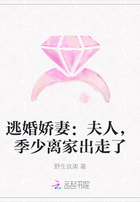 重生逃妻:少夫人又逃了