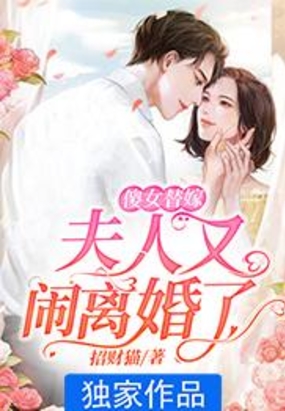 书名是《傻女替嫁:夫人她惊动全球了》