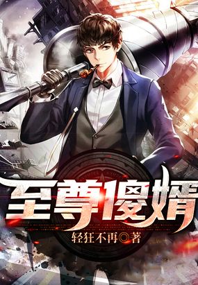 小说至尊狂婿完整版