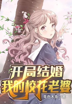 我的老婆是校花完整版