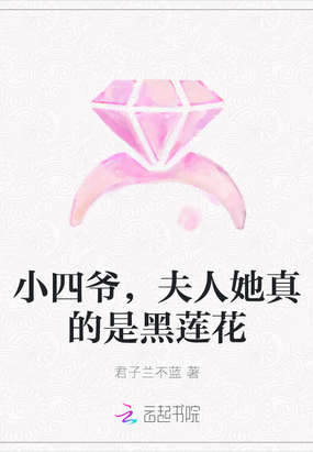 四爷的小媳妇