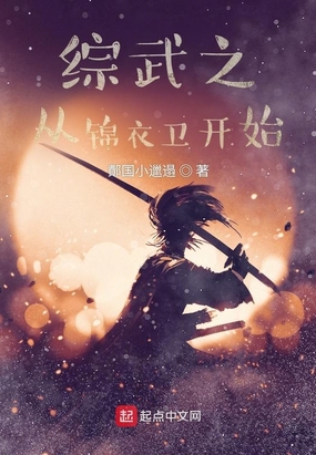 综武从锦衣卫开始卡夜阁