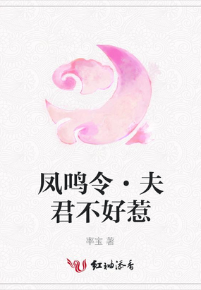 凤鸣令.夫君不好惹