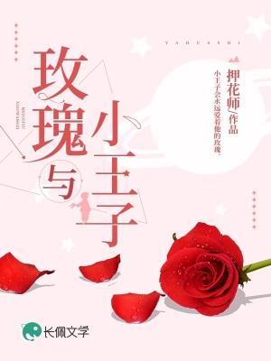 玫瑰与小王子押花师小说