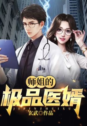 师姐的极品医婿人物介绍