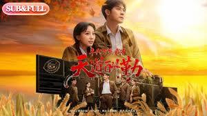 年代下乡：我有天道酬勤