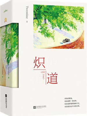 炽道小说