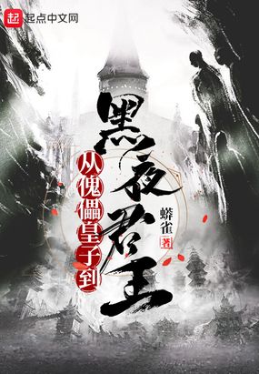 从傀儡皇子到黑夜君王无弹窗